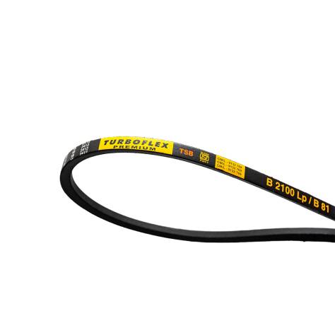 B 2100 LP / B 81 (Classical V Belt)